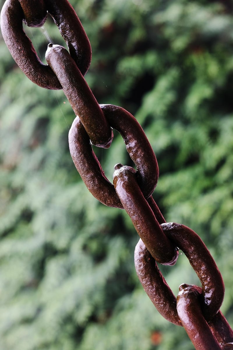Causal Chains